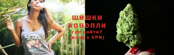 apvp Надым