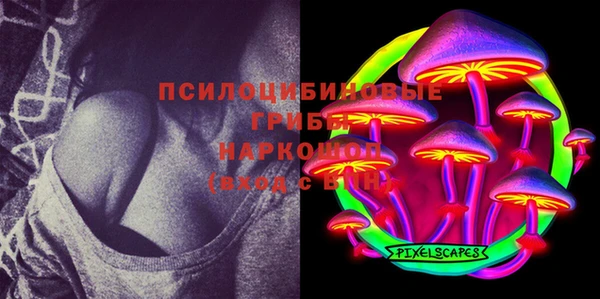 apvp Надым