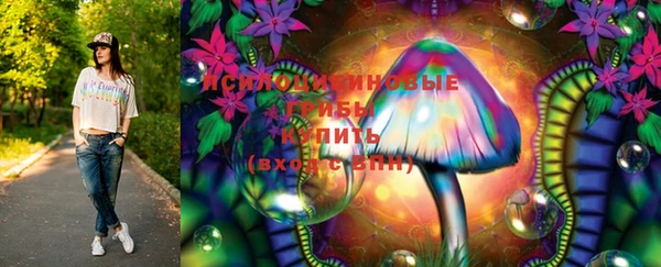 apvp Надым