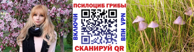 Галлюциногенные грибы мицелий  Купить закладки  Новороссийск 